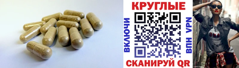 закладки  Феодосия  ЭКСТАЗИ диски 